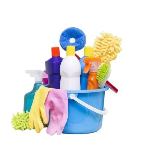 Toilet Cleaners