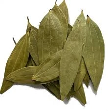 Bay Leaf