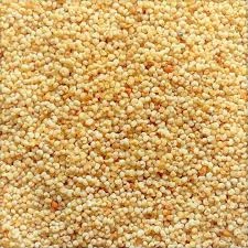 Poppy Seeds