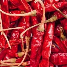 Dried Red Chili
